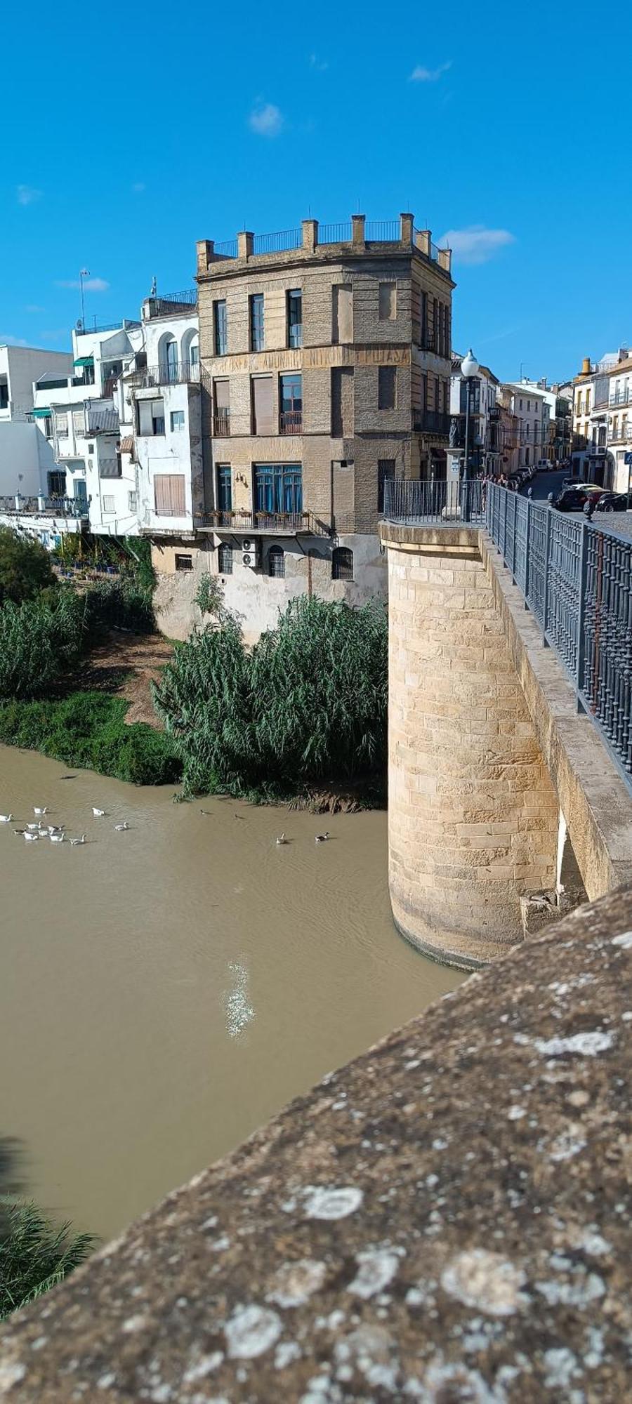 El Patio De La Cris Puente Genil
