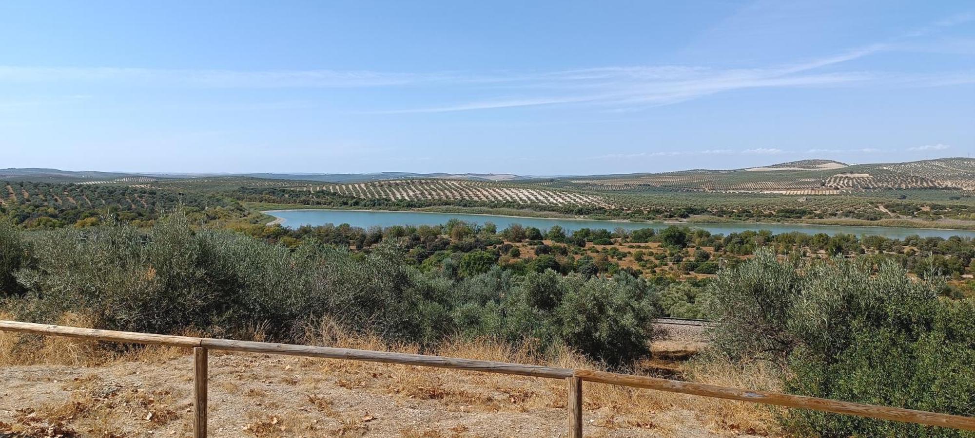 El Patio De La Cris