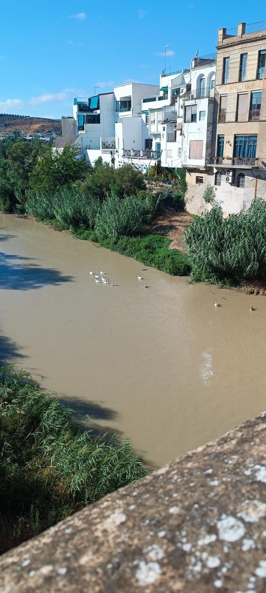 El Patio De La Cris Puente Genil