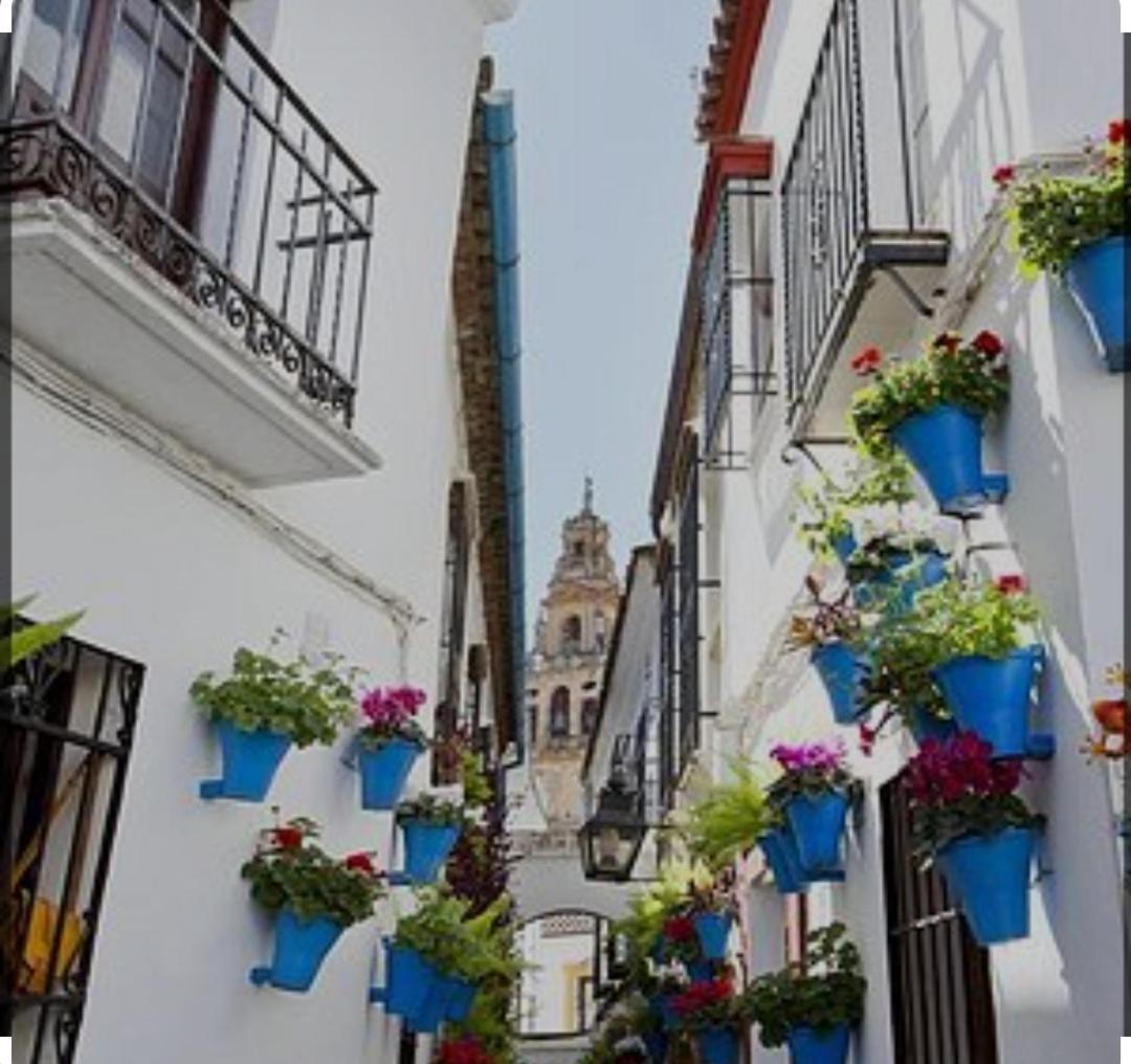 Apartament El Patio De La Cris Puente Genil